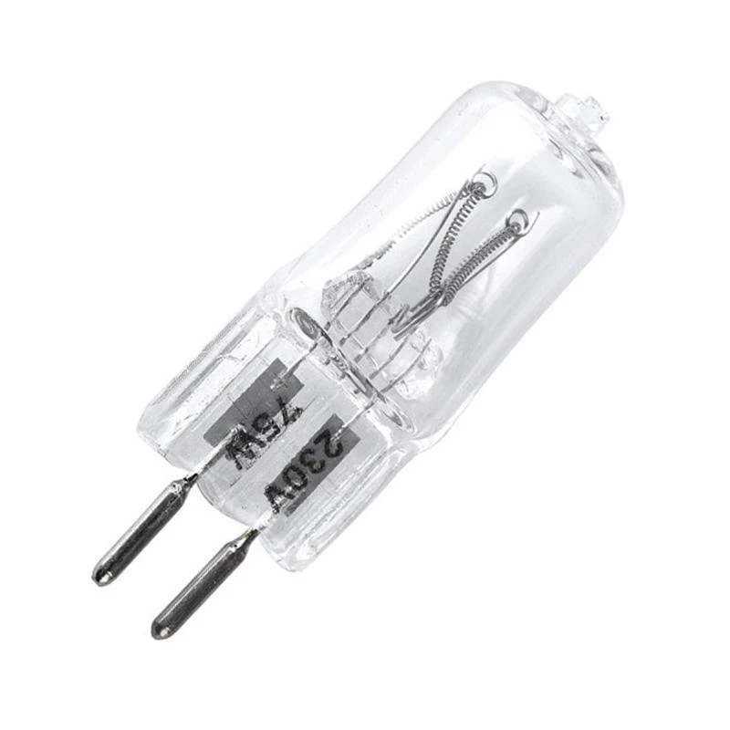Lâmpada Continua 75w 220v Studio SDI